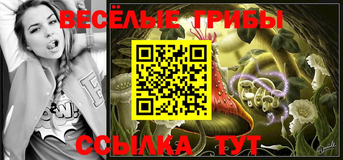 Псилоцибиновые грибы ЛСД Михайловка